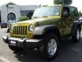 Rescue Green Metallic - Wrangler X 4x4 Photo No. 1