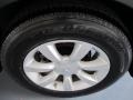 Diamond Graphite Gray - FX 35 AWD Photo No. 10