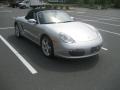 Arctic Silver Metallic - Boxster  Photo No. 1