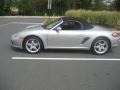 Arctic Silver Metallic - Boxster  Photo No. 4