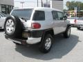 Titanium Metallic - FJ Cruiser 4WD Photo No. 6