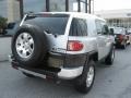 Titanium Metallic - FJ Cruiser 4WD Photo No. 41