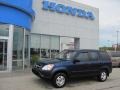 2004 Eternal Blue Pearl Honda CR-V LX 4WD  photo #1