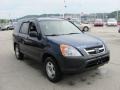 2004 Eternal Blue Pearl Honda CR-V LX 4WD  photo #8