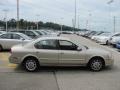 Sunlit Sand Metallic - Maxima GLE Photo No. 8