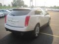 Platinum Ice Tricoat - SRX V6 Photo No. 6
