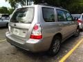 Crystal Gray Metallic - Forester 2.5 X L.L.Bean Edition Photo No. 3