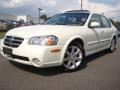 Glacier White Pearl - Maxima GLE Photo No. 2