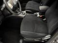 Graphite Gray Pearl - Outlander ES Photo No. 8