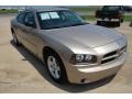 Light Sandstone Metallic - Charger SE Photo No. 6