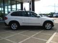 Alpine White - X5 3.0si Photo No. 9