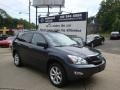 Flint Mica - RX 350 AWD Photo No. 1
