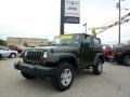 Jeep Green Metallic - Wrangler X 4x4 Photo No. 1
