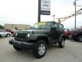 2009 Jeep Green Metallic Jeep Wrangler X 4x4  photo #1