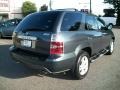 2004 Sagebrush Pearl Acura MDX Touring  photo #7