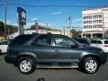 2004 Sagebrush Pearl Acura MDX Touring  photo #8