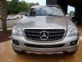 Pewter Metallic - ML 350 4Matic Photo No. 2