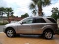 Pewter Metallic - ML 350 4Matic Photo No. 5