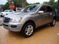 Pewter Metallic - ML 350 4Matic Photo No. 9