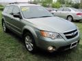 2009 Seacrest Green Metallic Subaru Outback 2.5i Special Edition Wagon  photo #15
