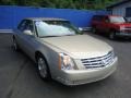 Light Platinum - DTS Sedan Photo No. 6