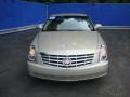 Light Platinum - DTS Sedan Photo No. 7