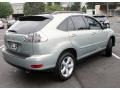 Bamboo Pearl - RX 350 AWD Photo No. 7