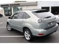 Bamboo Pearl - RX 350 AWD Photo No. 10