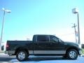 2006 Aspen Green Metallic Ford F150 XLT SuperCrew  photo #6