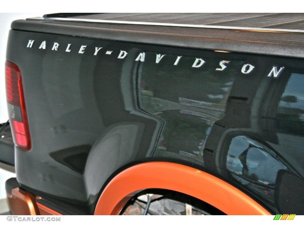 2008 F150 Harley-Davidson SuperCrew - Black/Vintage Copper / Black/Dusted Copper photo #18