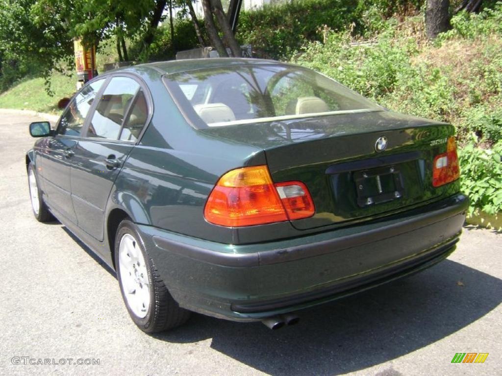 2001 3 Series 325i Sedan - Fern Green Metallic / Sand photo #5