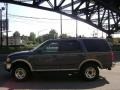 Medium Wedgewood Blue Metallic - Expedition Eddie Bauer 4x4 Photo No. 2