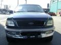 Medium Wedgewood Blue Metallic - Expedition Eddie Bauer 4x4 Photo No. 11