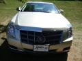 Light Platinum - CTS Sedan Photo No. 3