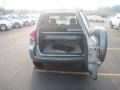2007 Everglade Metallic Toyota RAV4 4WD  photo #10