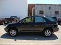 2001 Black Onyx Lexus RX 300 AWD  photo #10