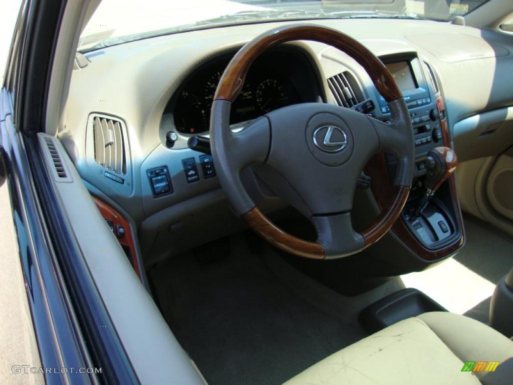 2001 RX 300 AWD - Black Onyx / Ivory photo #11