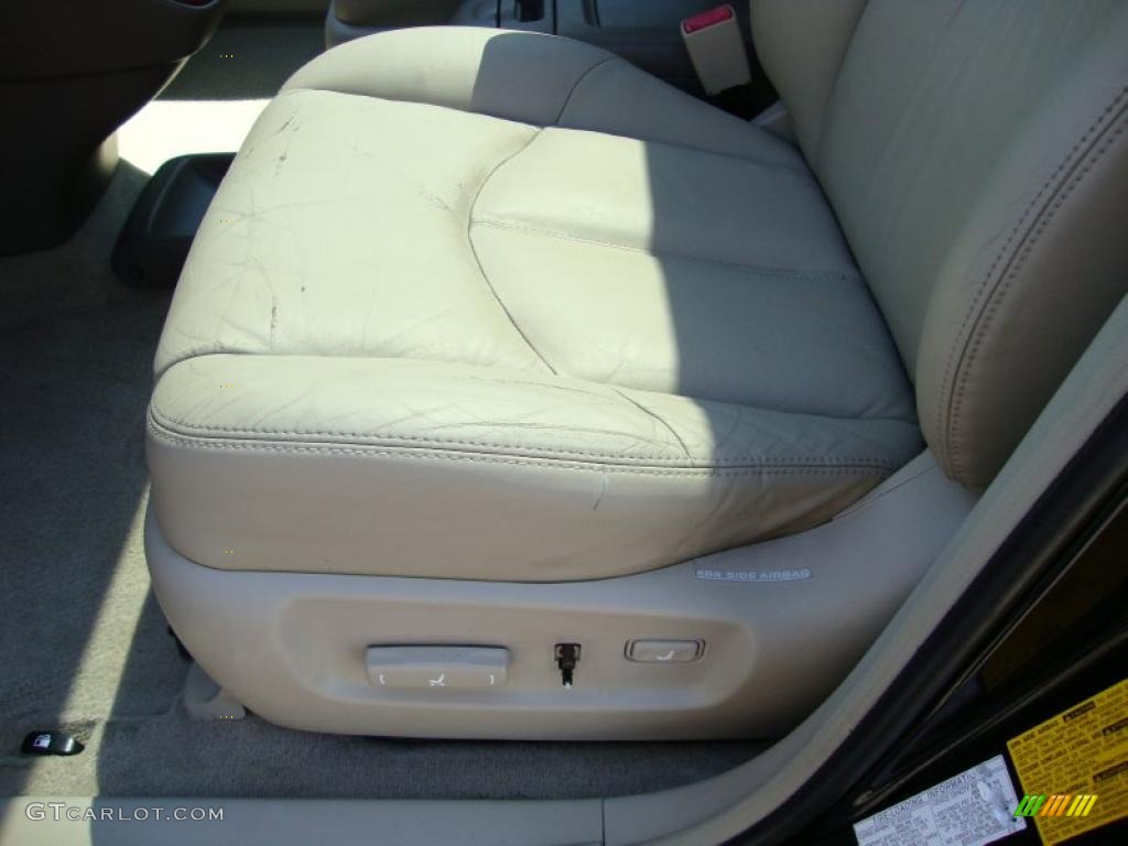 2001 RX 300 AWD - Black Onyx / Ivory photo #15