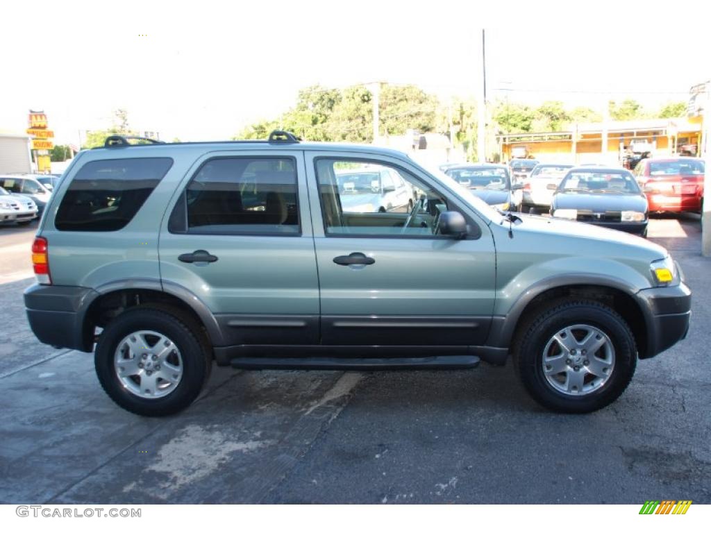 2006 Escape XLT V6 - Titanium Green Metallic / Medium/Dark Pebble photo #8