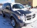 Mineral Gray Metallic - Durango Limited 4x4 Photo No. 17