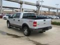 Silver Metallic - F150 FX4 SuperCrew 4x4 Photo No. 3