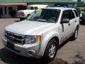 Light Sage Metallic - Escape XLT Photo No. 1