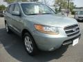 2008 Platinum Sage Hyundai Santa Fe Limited  photo #7