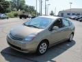 Driftwood Pearl - Prius Hybrid Photo No. 7