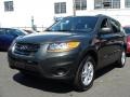 Phantom Black Metallic - Santa Fe GLS 4WD Photo No. 1