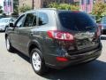 Phantom Black Metallic - Santa Fe GLS 4WD Photo No. 6