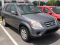 Pewter Pearl - CR-V Special Edition 4WD Photo No. 4