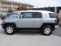 2009 Titanium Metallic Toyota FJ Cruiser   photo #8