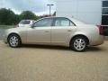 Radiant Bronze - CTS Sedan Photo No. 3