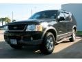 2002 Black Clearcoat Ford Explorer XLT  photo #9